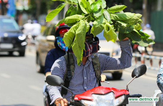 10 kiểu tránh nóng ngộ nghĩnh của người dân Sài Gòn